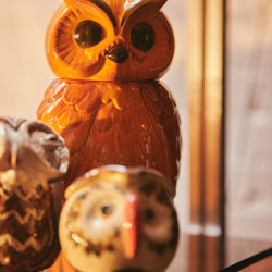 HKliving Keramikdose "Owl tangerine" | HKliving | Aufbewahrung mit Retro-Charme