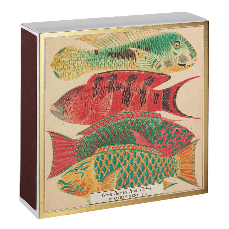 Archivist Lange Streichhölzer „Fishes“ Archivist | Extra lang in Square Matchbox