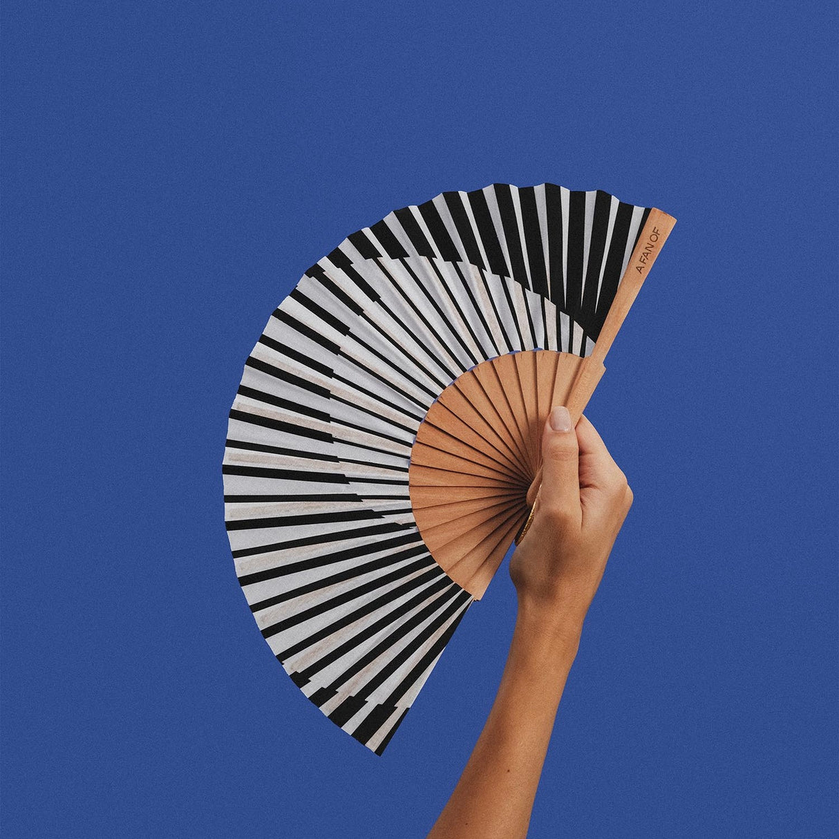 A Fan of Fächer “Minimal Melody” | Reduziertes Muster | A Fan of