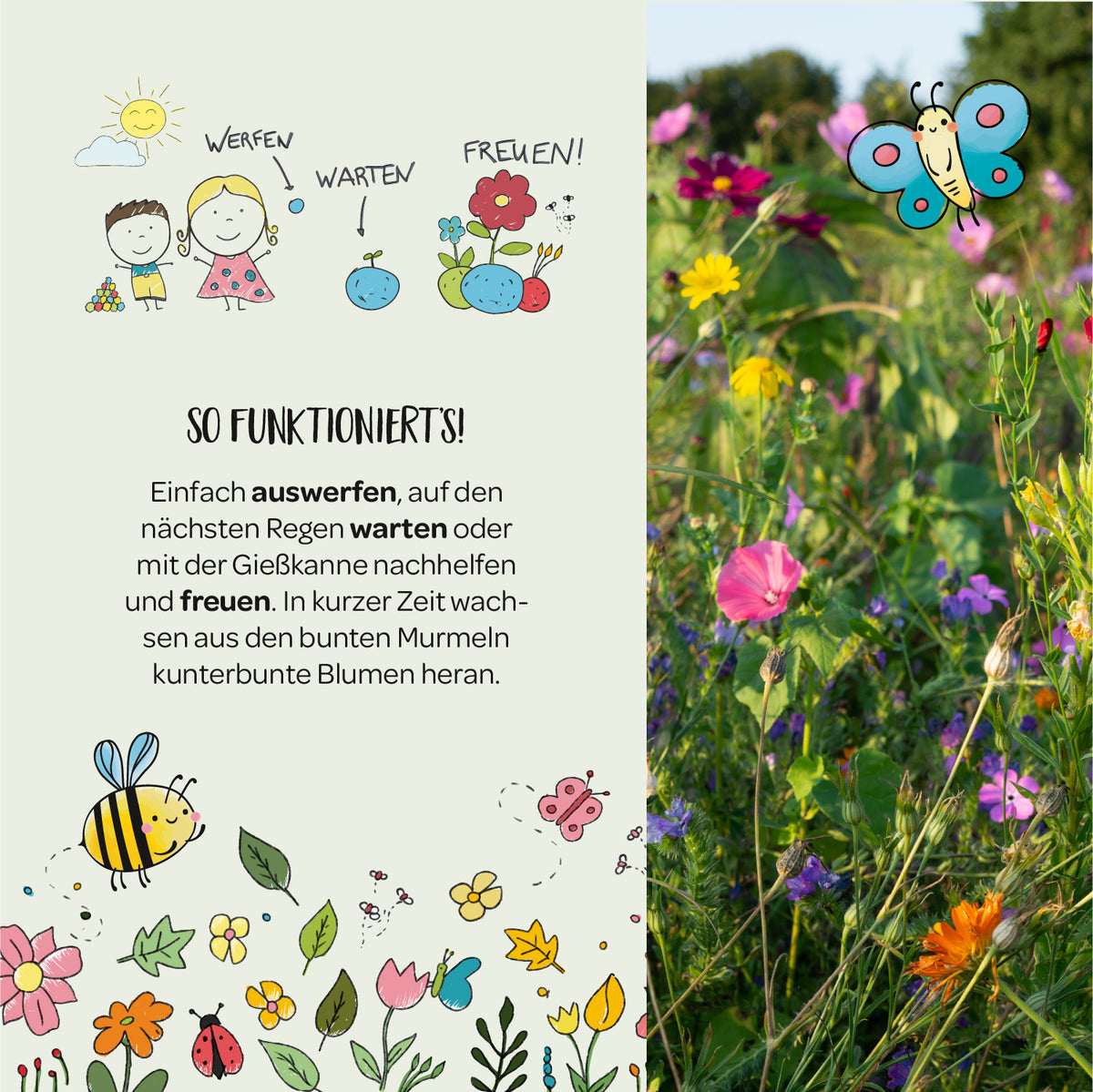 Die Stadtgärtner "Blumenmurmeln" Stadtgärtner | 25 bunte Murmeln für eine blühende Stadt