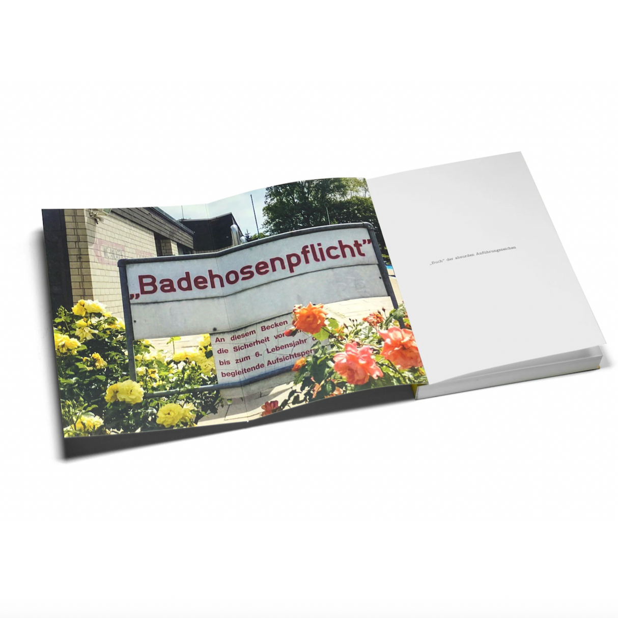 Seltmann Publishers Buch „Das Buch der absurden Anführungszeichen“ | Seltmann Publisher