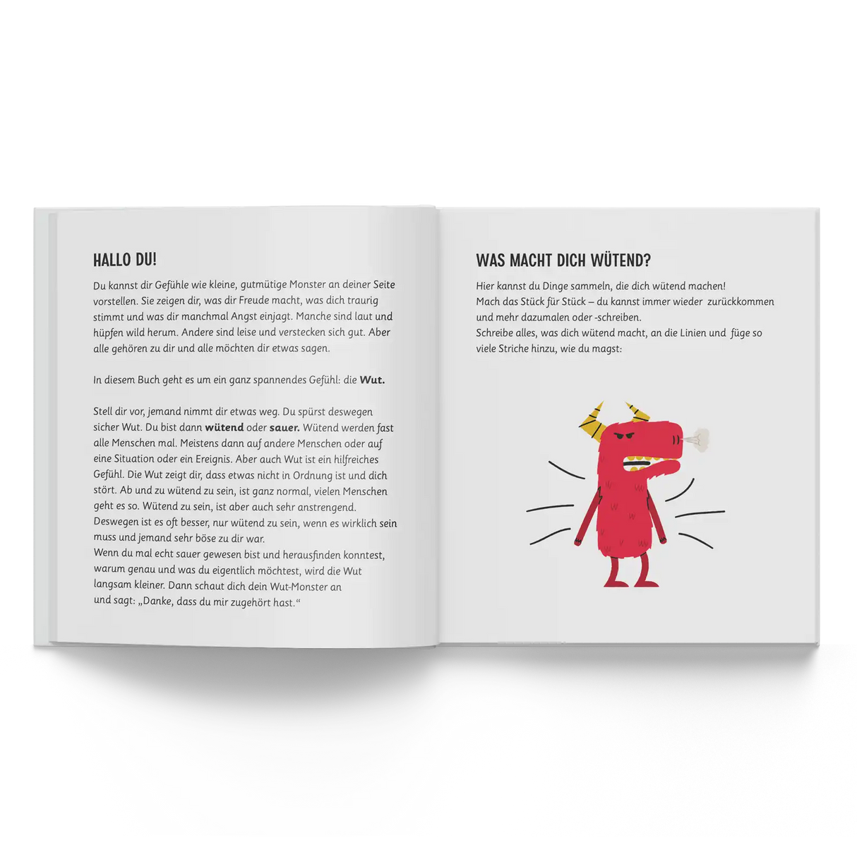 Ein guter Verlag Buch “Ein gutes Gefühl Wut” | Emotionen verstehen | Ein guter Verlag