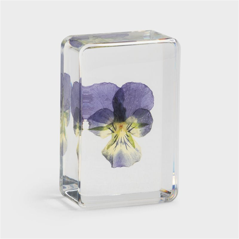 &Klevering Cube „Violet“ | Dekorativer Resin-Block mit Blume | &Klevering