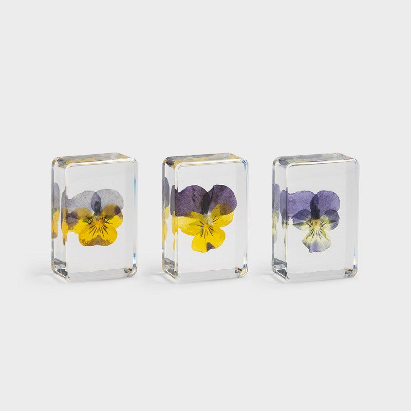 &Klevering Cube „Violet“ | Dekorativer Resin-Block mit Blume | &Klevering