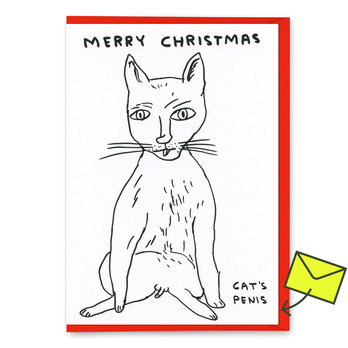 David Shrigley Grußkarte "Merry Christmas Cat´s penis" | David Shrigley