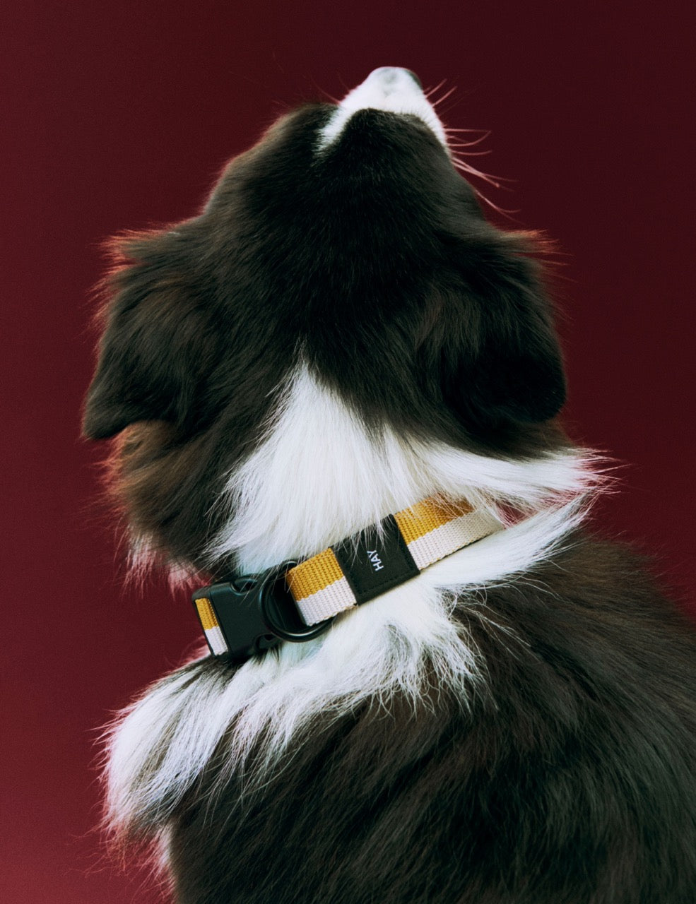 HAY Halsband „Flat Off-White & Ochre (S/M)“ | Dezent & zeitlos | HAY Dogs