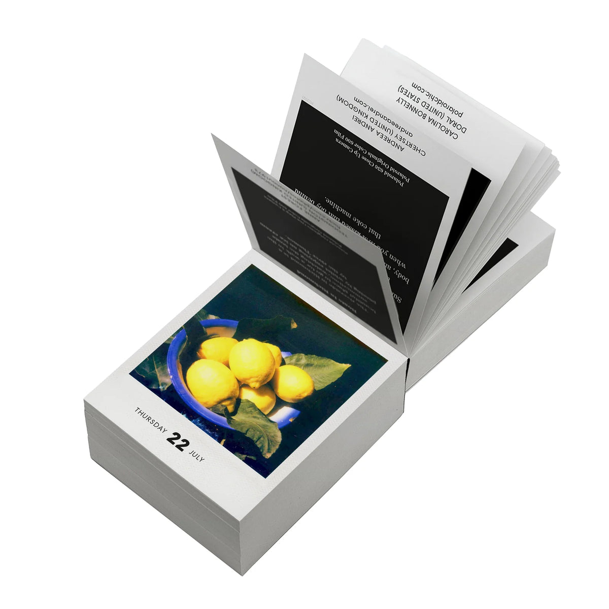 Seltmann Publishers Abreißkalender “Photodarium” 2027 | Sofortbildkunst | Seltmann Publishers