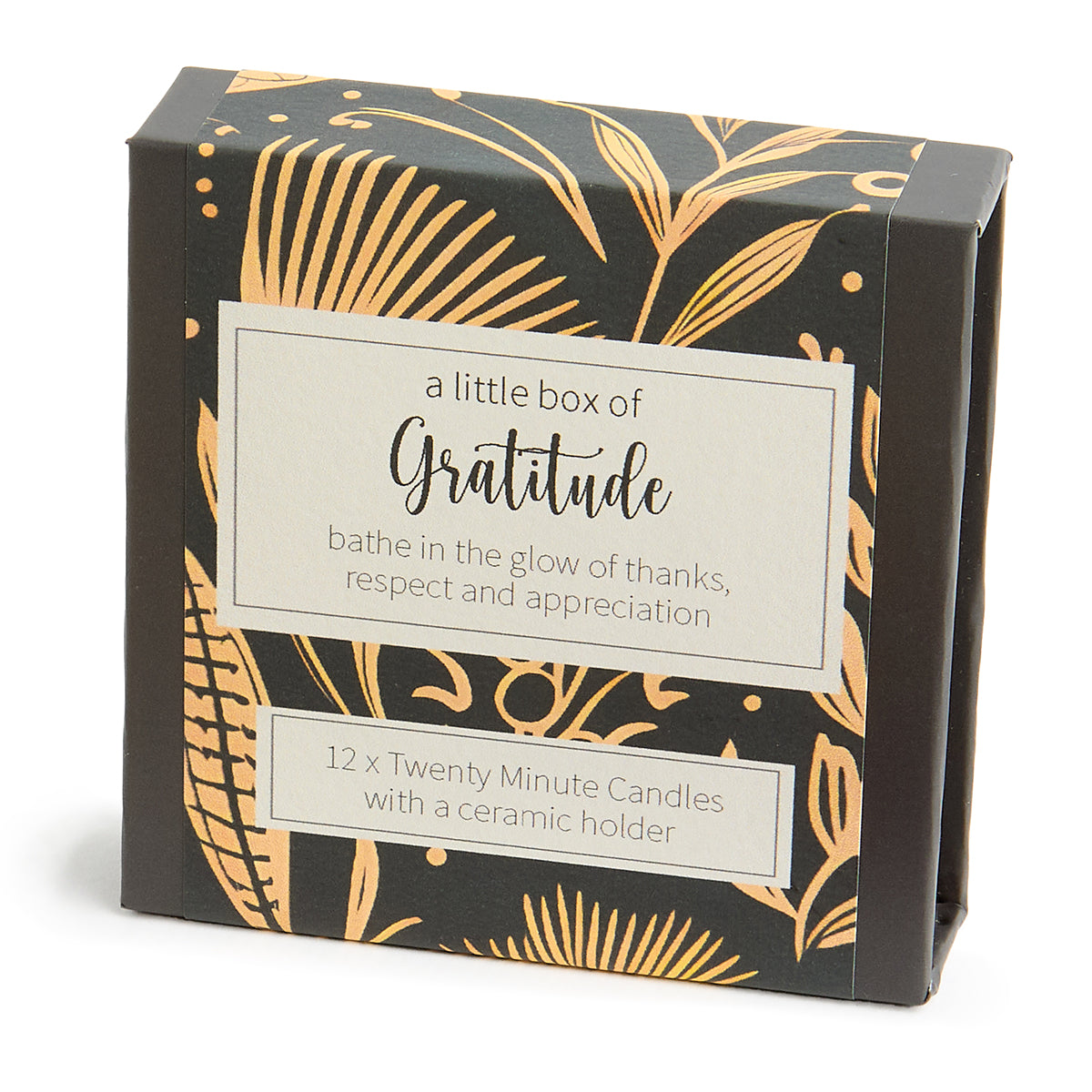 Cotton & Grey Kerzen “Twenty Minute Candles Gratitude” | 12 Ritualkerzen mit Halter | Cotton & Grey