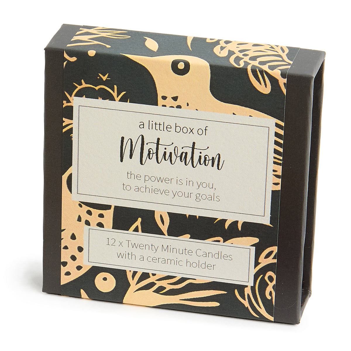 Cotton & Grey Kerzen “Twenty Minute Candles Motivation” | 12 Ritualkerzen mit Halter | Cotton & Grey