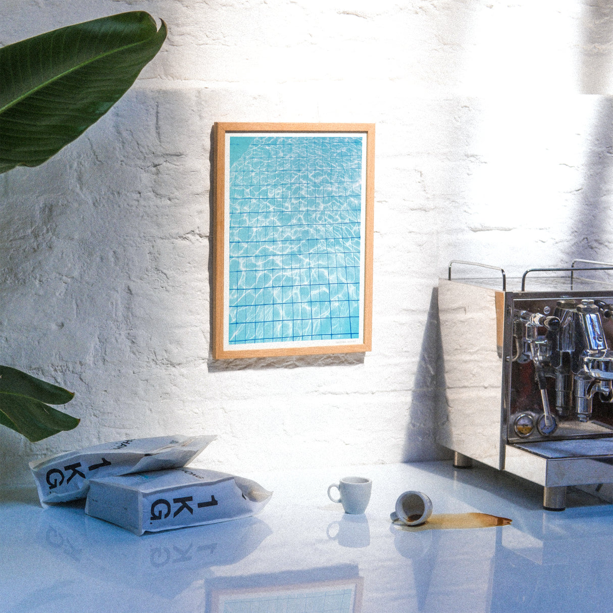 Edition SCHEE Pool (DIN A3) | Edition SCHEE | Risographie