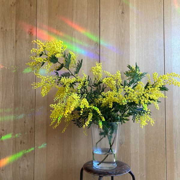 Botanopia Rainbow-Sticker Botanopia „Rainbow Drizzle“ | Regenbogen für dein Fenster