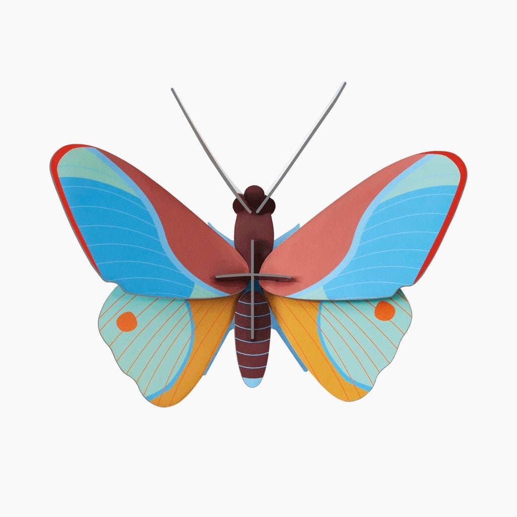studio ROOF Wanddeko- Claudina Butterfly