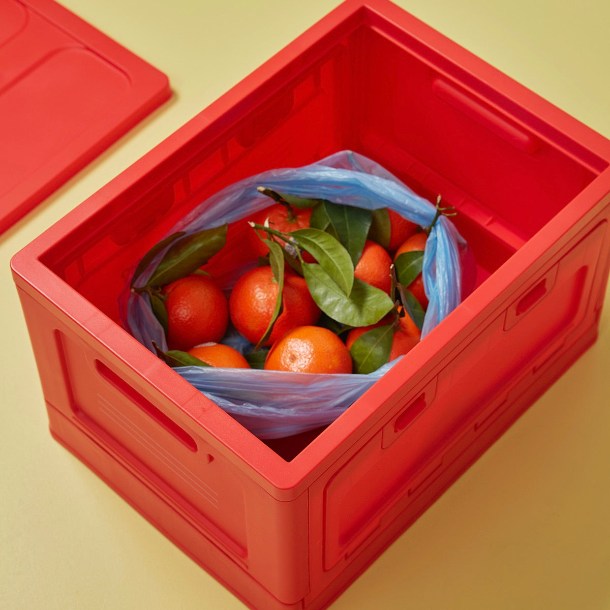 Studio About Aufbewahrungsbox Studio About "Large" | Red Kunststoff | Eyecatcher & Vielseitig