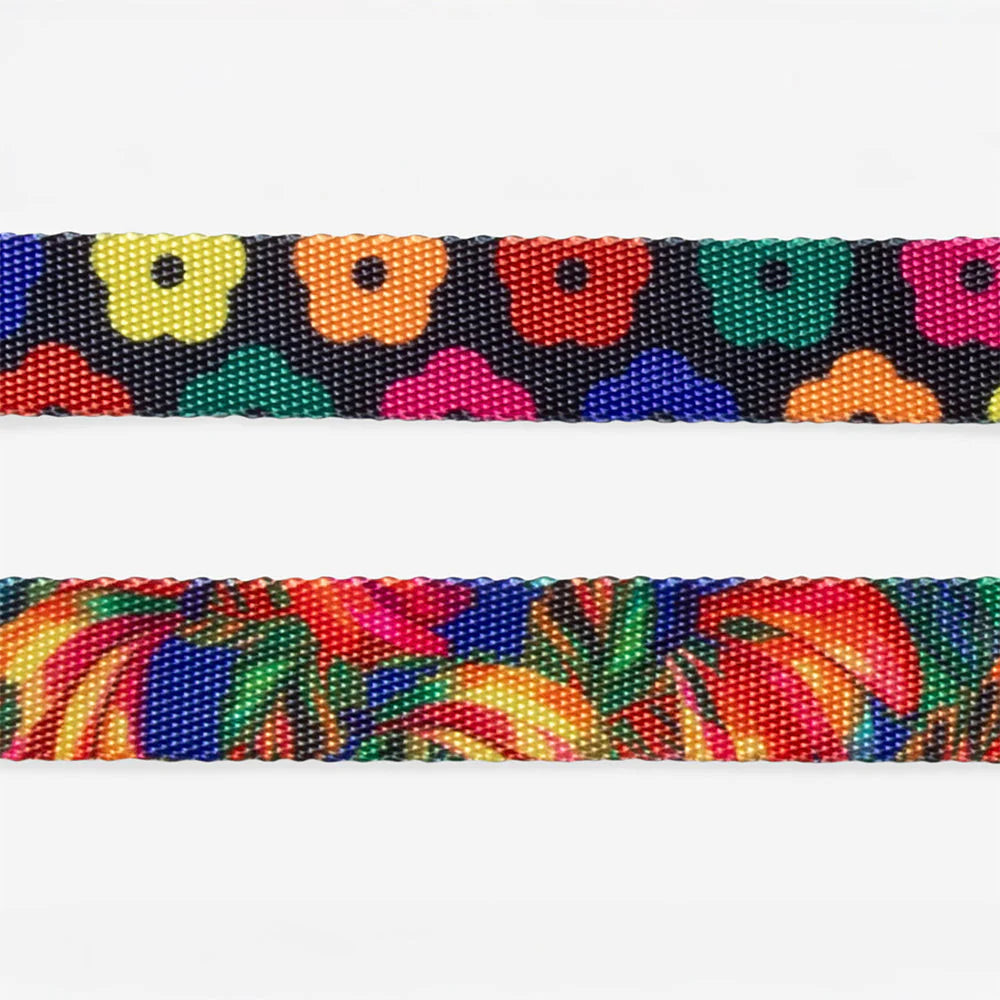 Zee.Dog Halsband “Samba” S | Strapazierfähiges Halsband | Zee.Dog