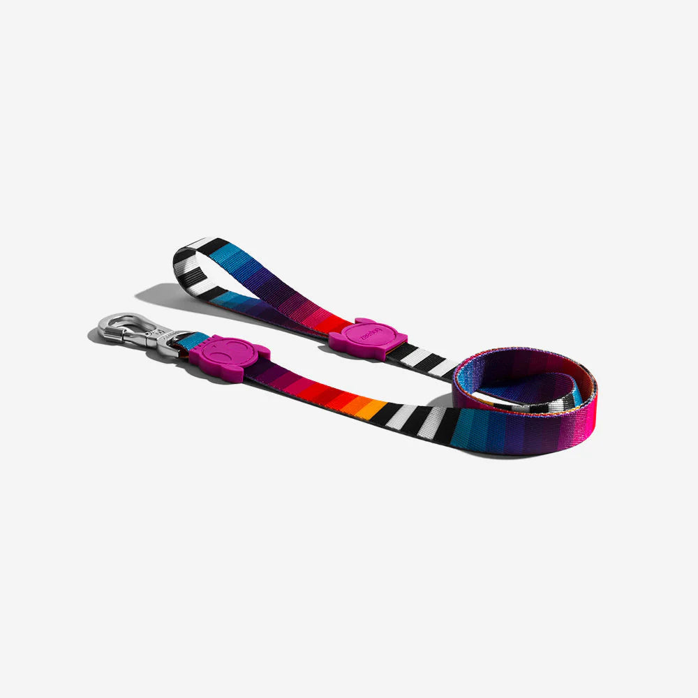 Zee.Dog Hundeleine “Prisma” L | Strapazierfähige Leine | Zee.Dog