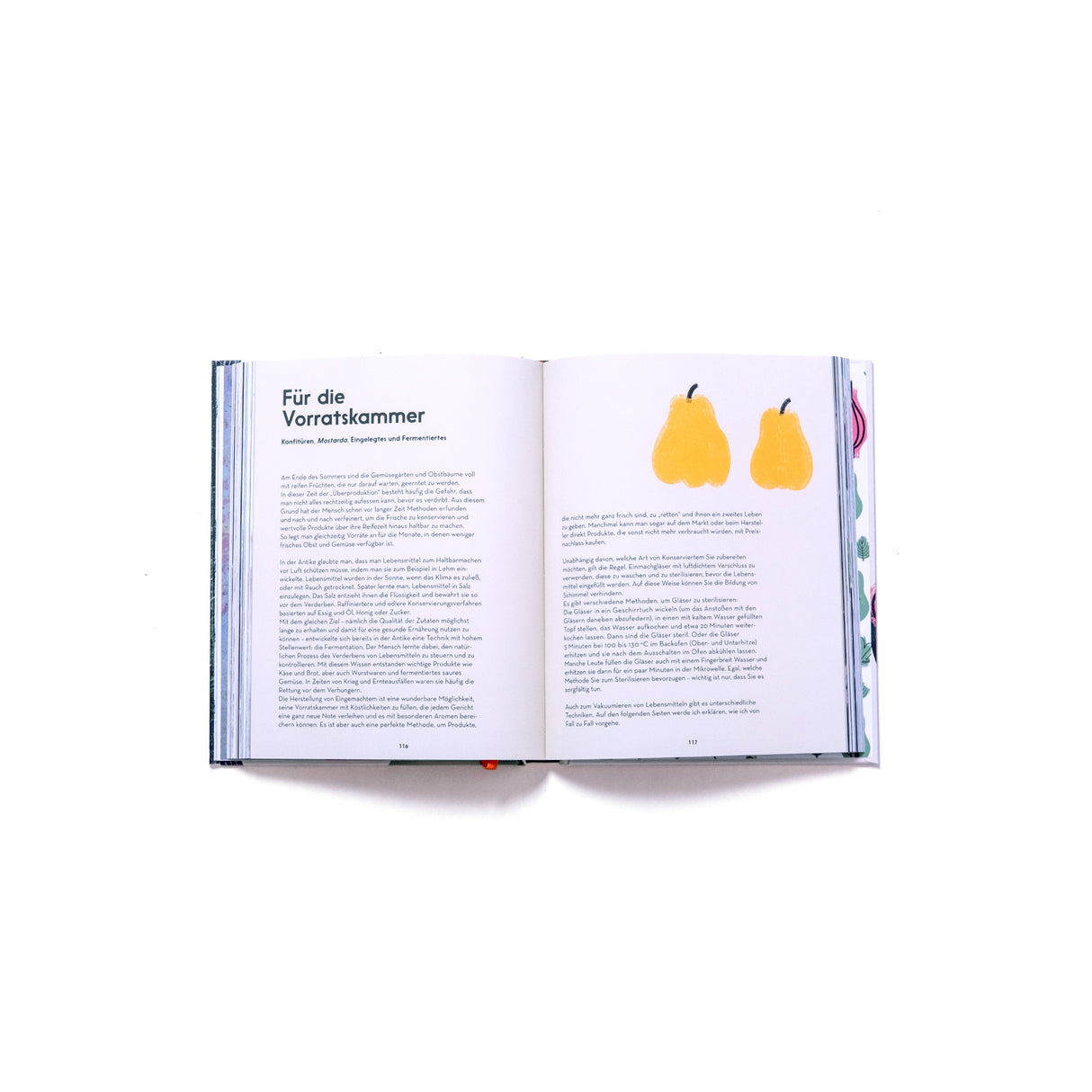 Tietge Verlag Kochbuch „Hauptsache Salat“ | Tietge Verlag | Kreative Salatrezepte