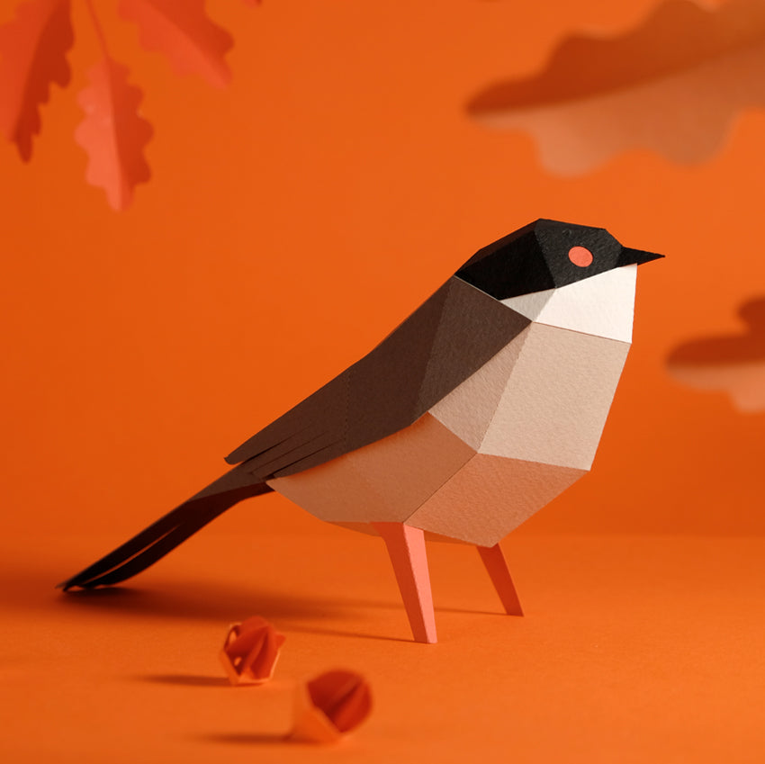 PLEGO Bastelset PLEGO "Sylvia" | Vogel aus Papier zum Selbstaufbauen