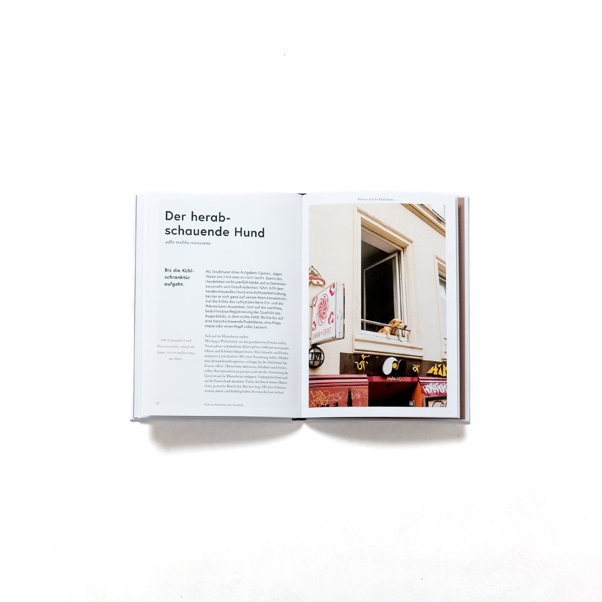 artfolio Buch „Yoga While You Wait“ | artfolio | Yoga für unterwegs