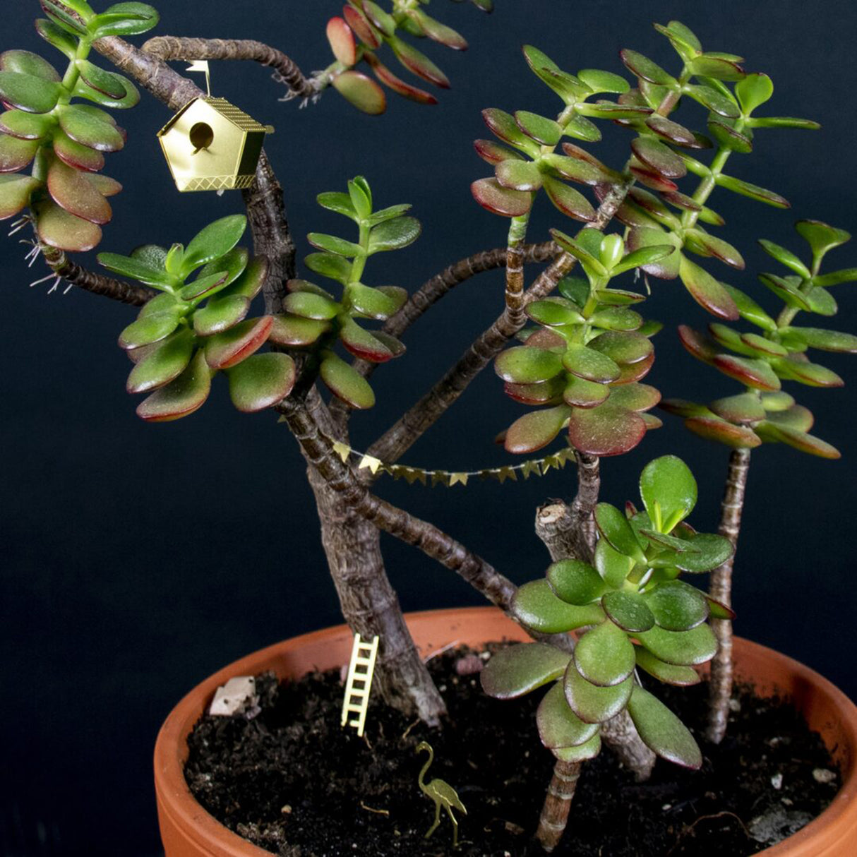 Botanopia Tiny Birdhouse für Zimmerpflanzen