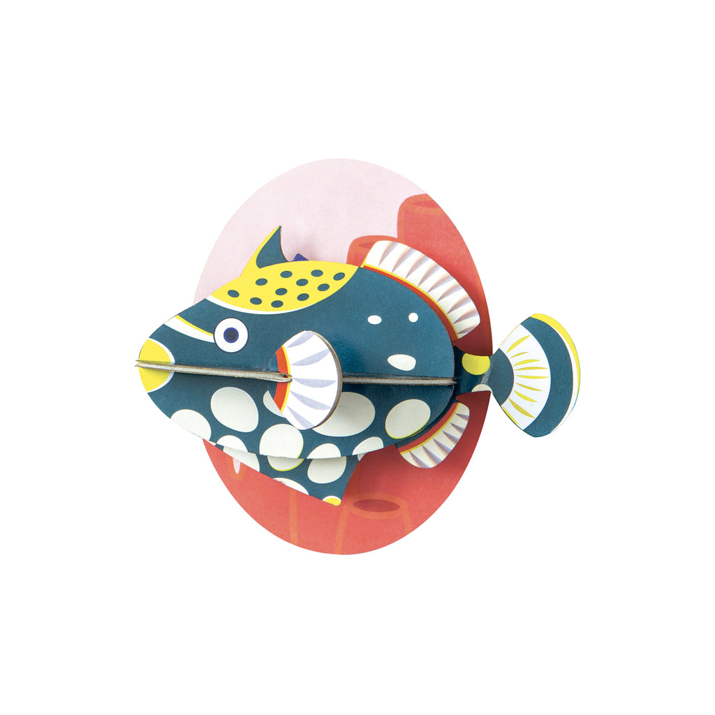 studio ROOF Clown Triggerfish