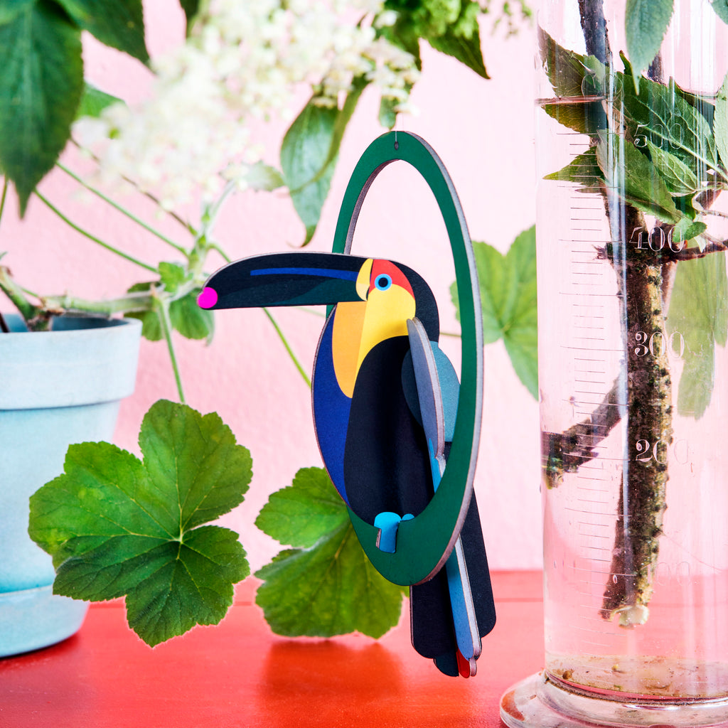 studio ROOF Pop Out Card Swinging Toucan