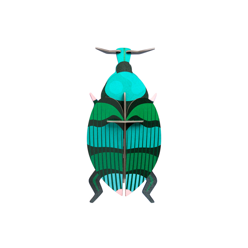 studio ROOF Wanddeko- Weevil Beetle