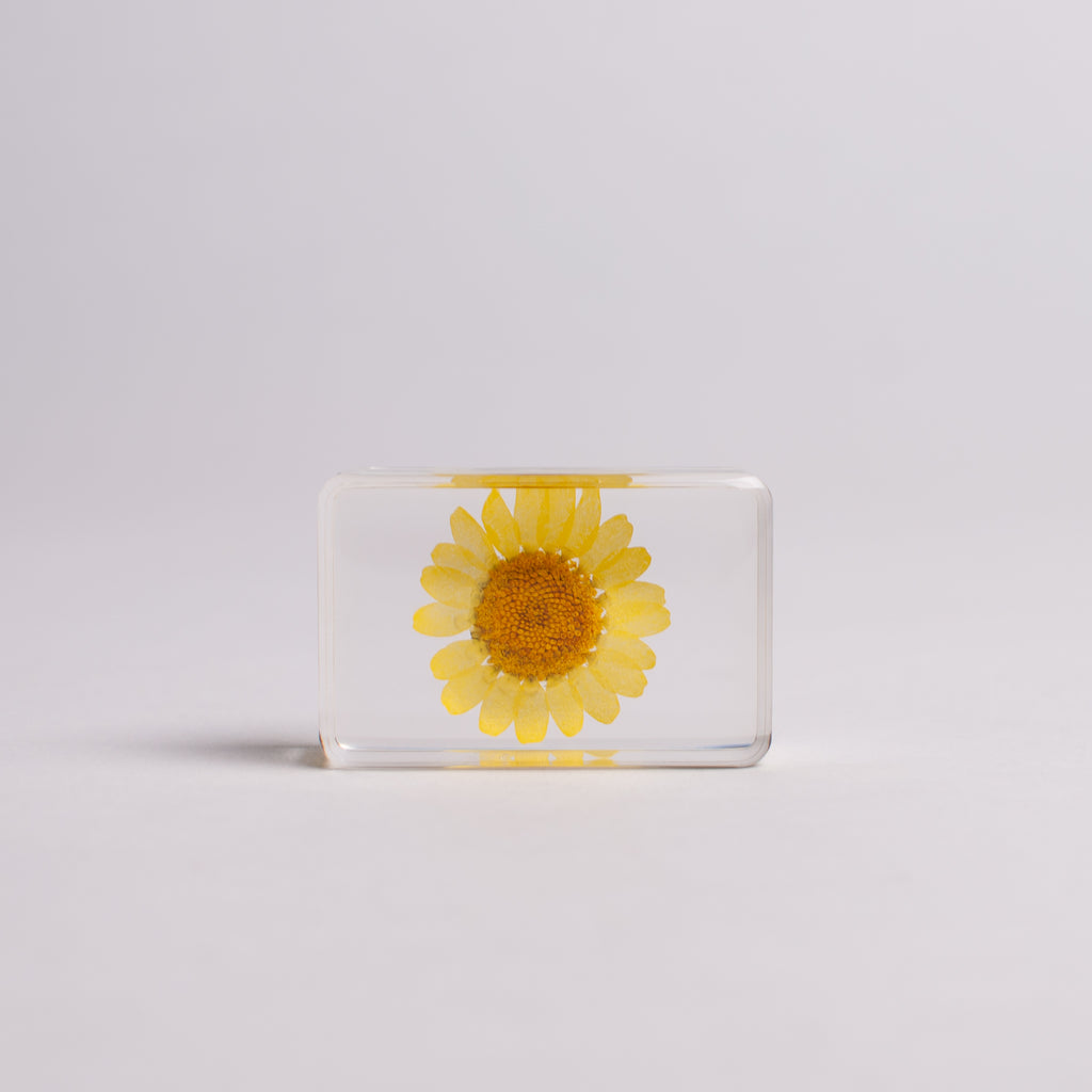 &Klevering Wildflower Cube Small Wildflower Small 2
