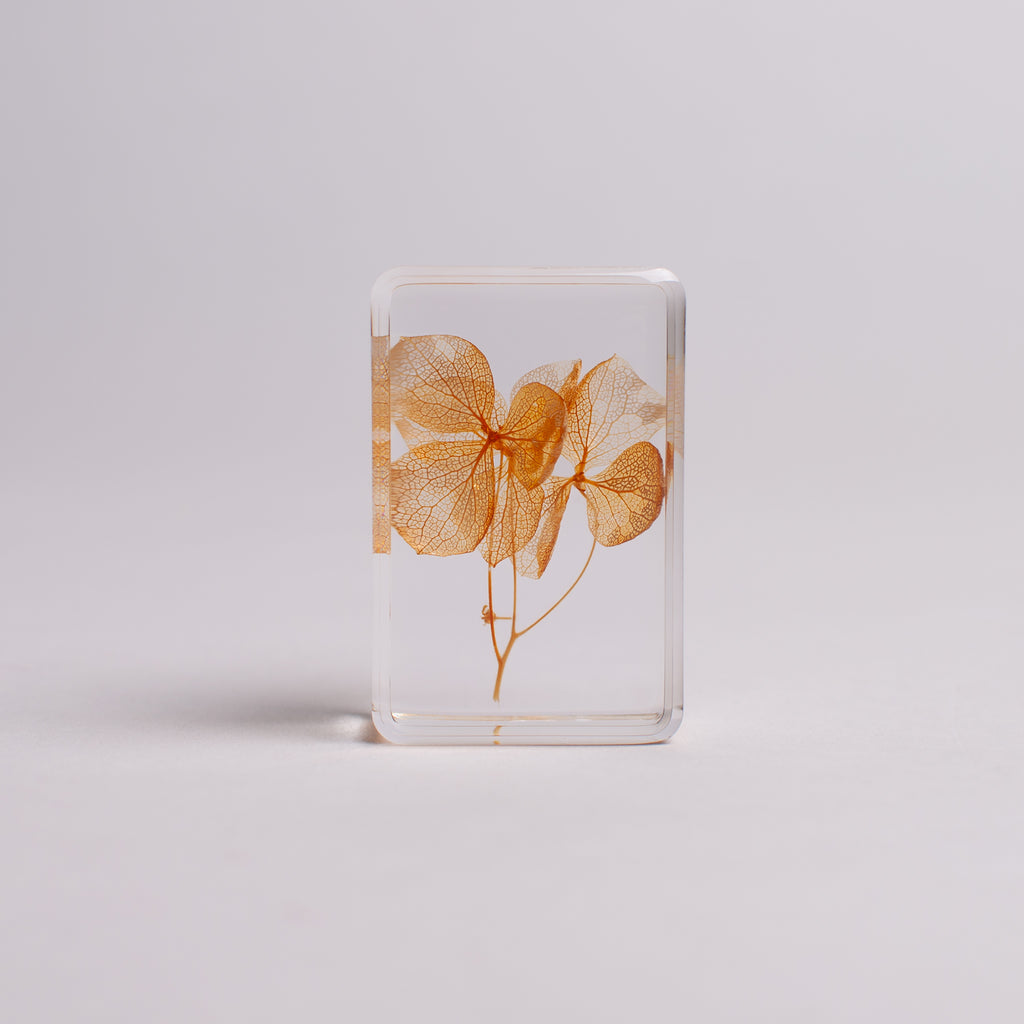 &Klevering Wildflower Cube Small Wildflower Small 6