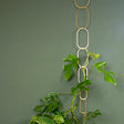 Botanopia Rankhilfe für Kletterpflanzen Brass