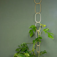 Botanopia Rankhilfe für Kletterpflanzen Brass