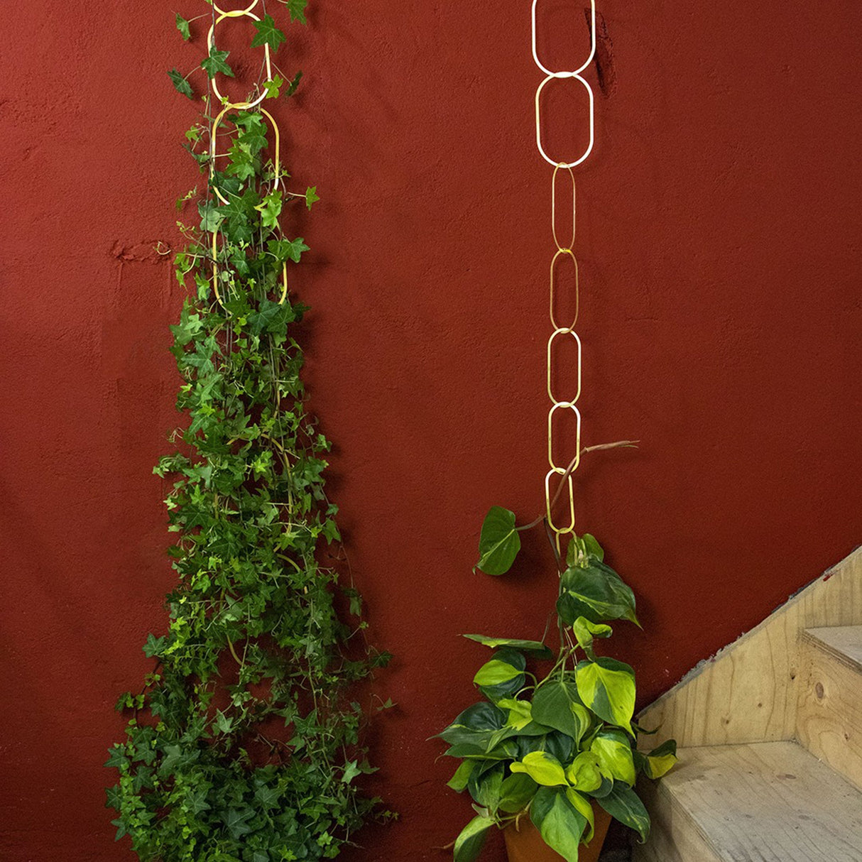 Botanopia Rankhilfe für Kletterpflanzen Brass