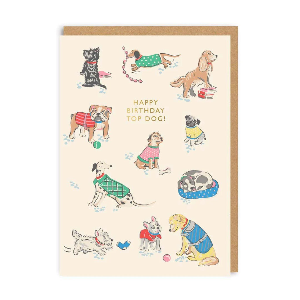 Ohh Deer Grußkarte "Happy Birthday Top Dog"