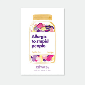 ALL THE WAYS TO SAY Pin “Duo Anti Idiots” | Freches Statement-Pin | ALL THE WAYS TO SAY