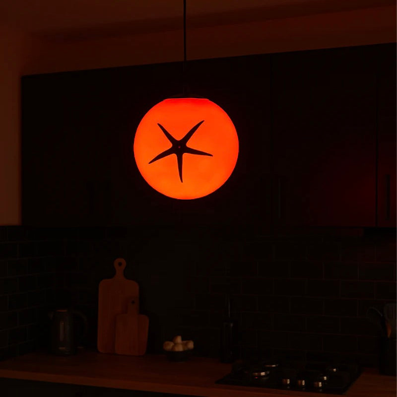 L´expressionist Lampe “Tomate” | Verspieltes Lichtobjekt | L’expressionist