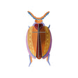 Studio Roof Wanddeko “Cuprum Beetle” | 3D Käfer Design | Studio Roof
