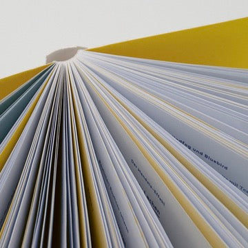 Verlag Hermann Schmidt Buch „Unfog Your Mind“ | Klar denken lernen | Verlag Hermann Schmidt