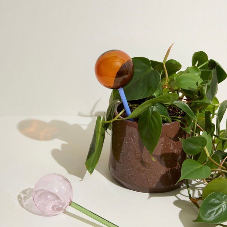 Hübsch Bewässerungskugel „Flora Aqua Globe Bernstein/Blau“ | Pflanzenpflege | Hübsch