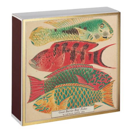 Archivist Lange Streichhölzer „Fishes“ Archivist | Extra lang in Square Matchbox