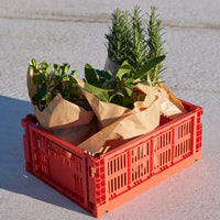 HAY Faltbox „Colour Crate Medium Red“ | Ordnungshelfer mit Farbe | HAY
