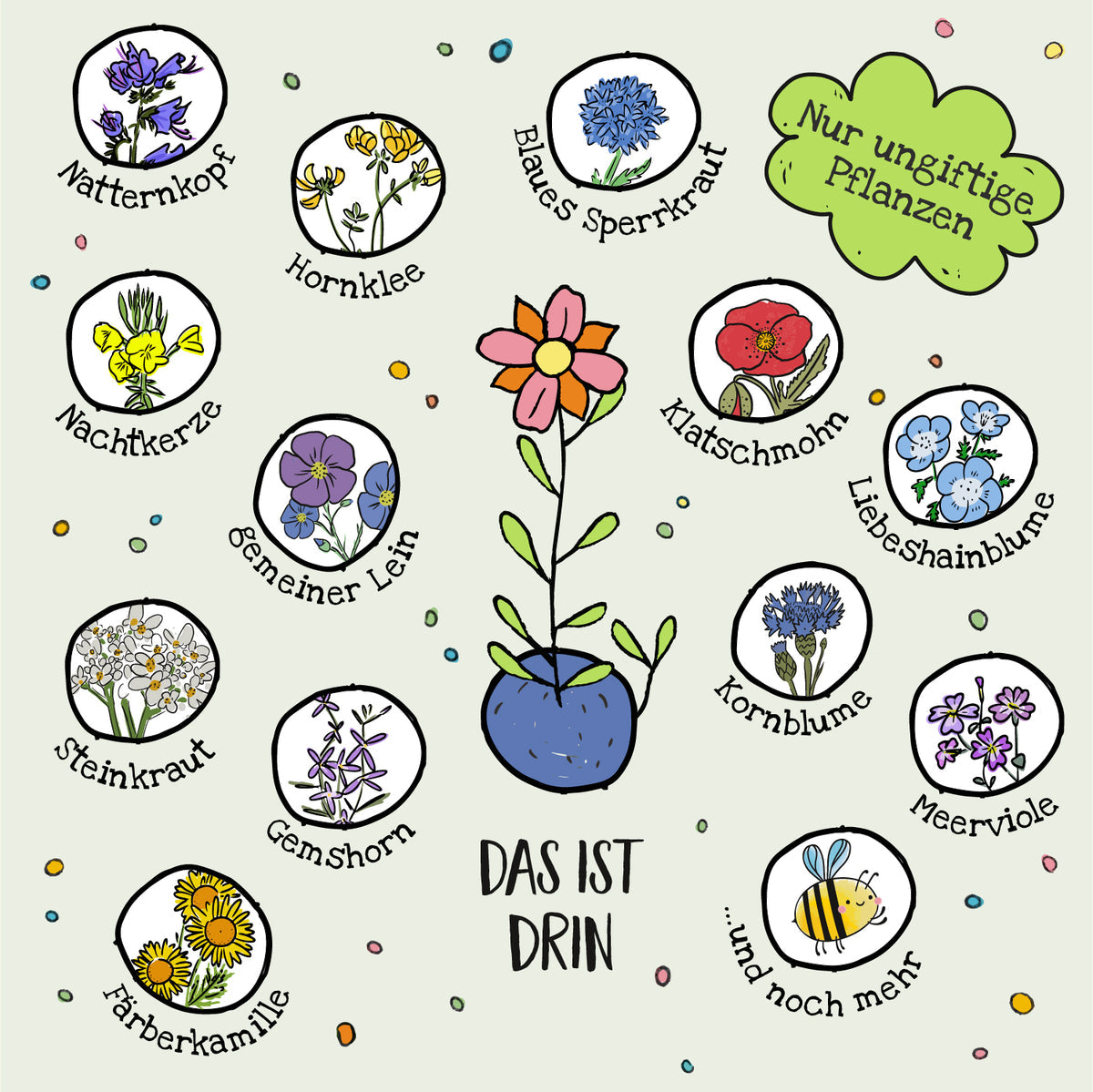 Die Stadtgärtner "Blumenmurmeln" Stadtgärtner | 25 bunte Murmeln für eine blühende Stadt