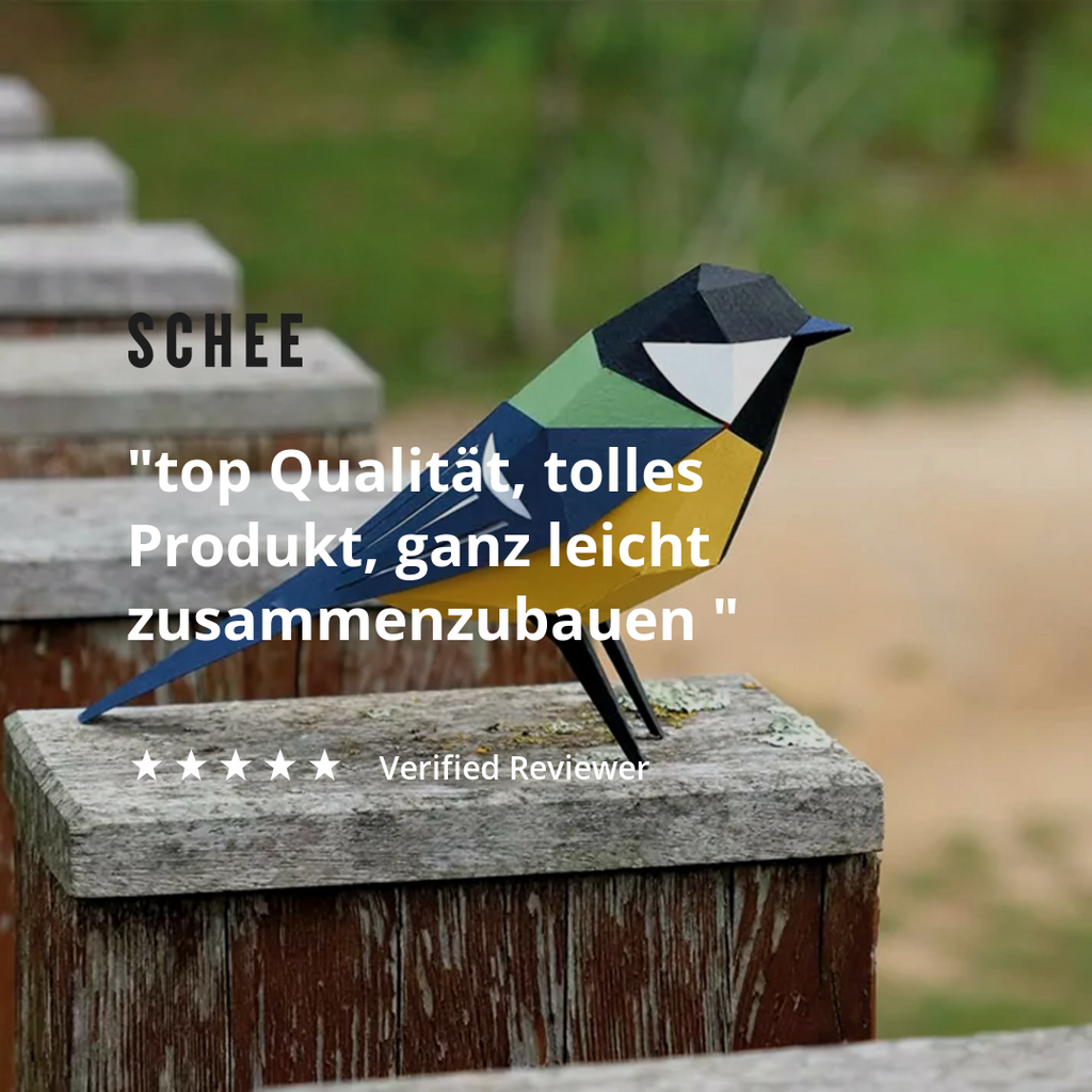 PLEGO Bastelset Parus Major