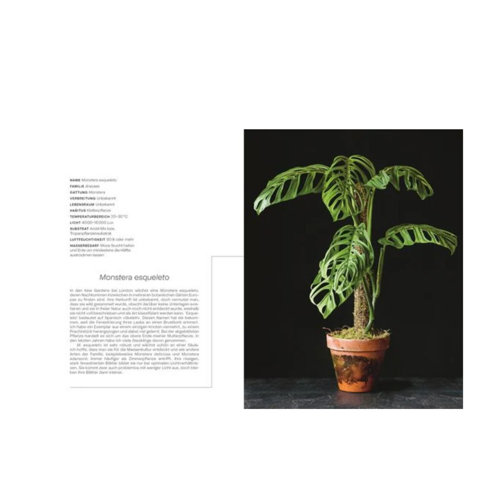 Dorling Kindersley Buch "Urban Jungle Style" | Guide für den idealen Umgang mit Zimmerpflanzen von Tony Le-Britton