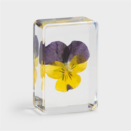 &Klevering Cube „Violet“ | Dekorativer Resin-Block mit Blume | &Klevering