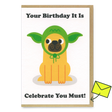 Studio Boketto Grußkarte "Celebrate you must" | Geburtstagskarte | Studio Boketto