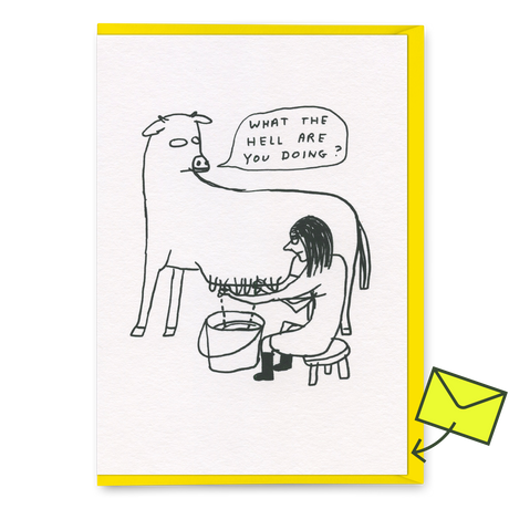 David Shrigley Grußkarte "What the hell" | Lustige Klappkarte | Brainbox Candy
