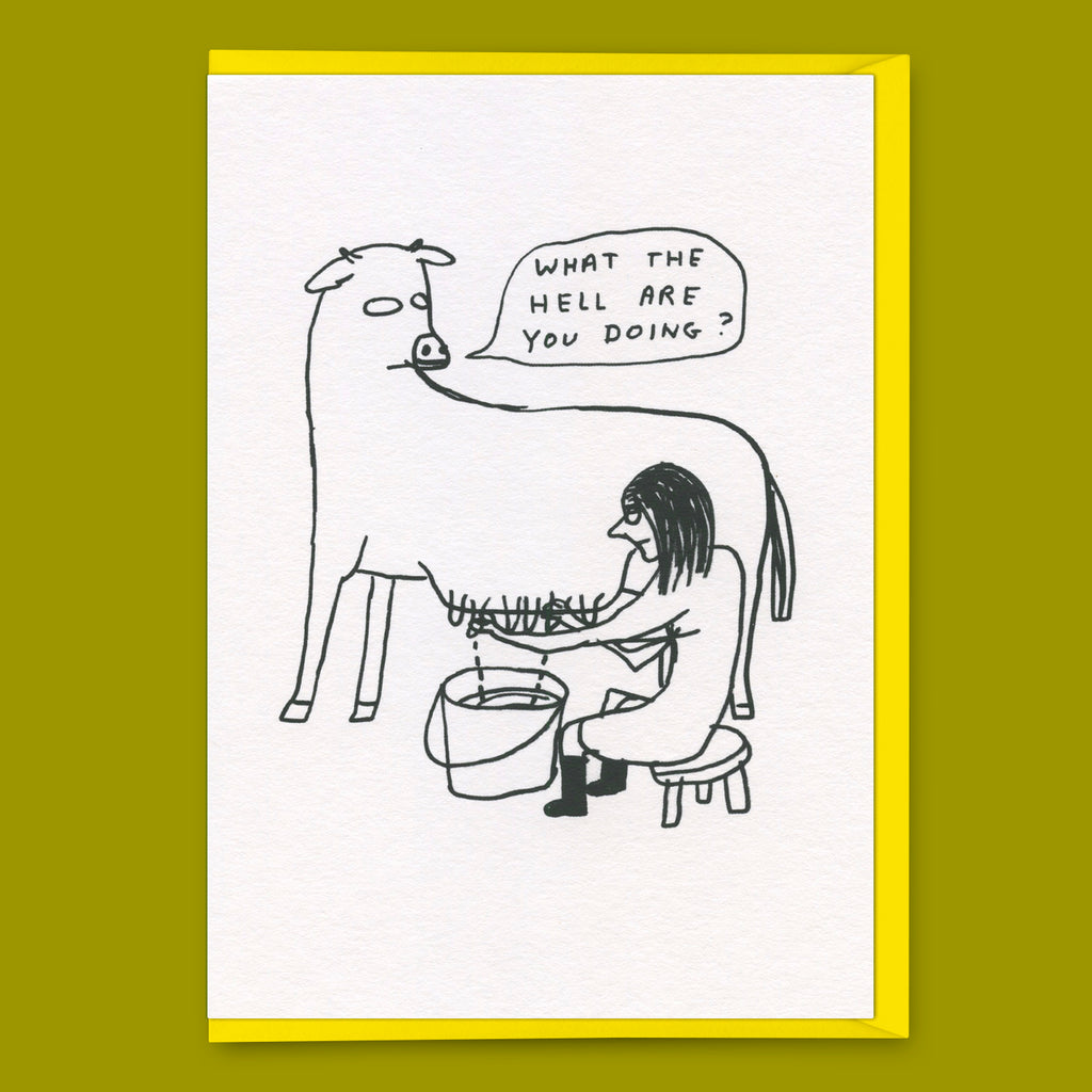 David Shrigley Grußkarte "What the hell" | Lustige Klappkarte | Brainbox Candy