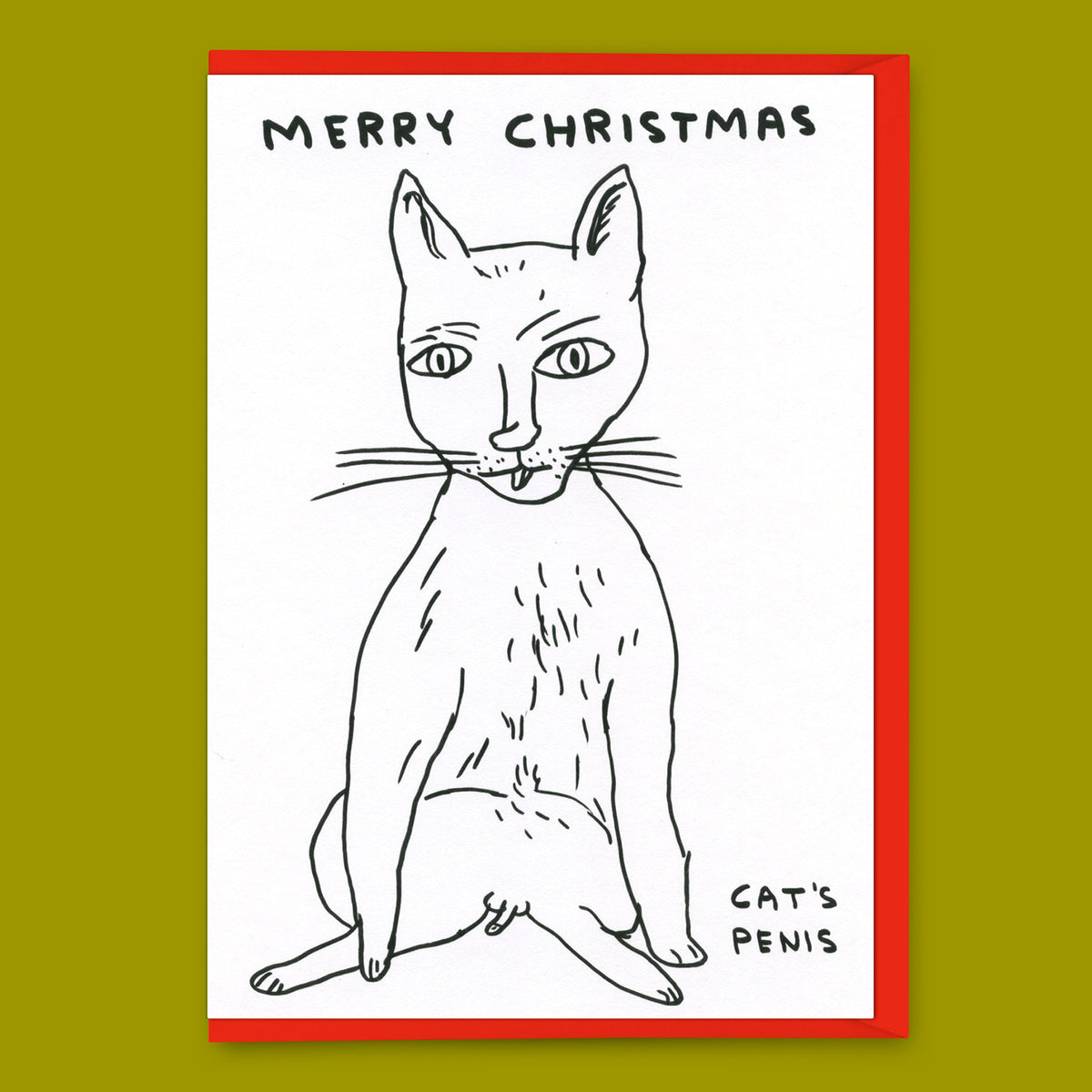 David Shrigley Grußkarte "Merry Christmas Cat´s penis" | David Shrigley