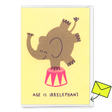 Deli Cards Grußkarte "Age is irrelephant" | Schöne Klappkarte zum Geburtstag