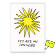 Deli Cards Grußkarte "You are my sunshine" | Besondere Klappkarte für Verliebte