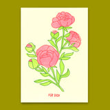 Deli Cards Postkarte "Für dich Rose" | Schöne Karte für jeden Anlass